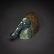 Load image into Gallery viewer, Shoveler Duck by Richard Smith
