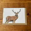 Red Stag A6 Greeting Card