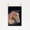 Horse Art Print 'Rocky' Limited Edition