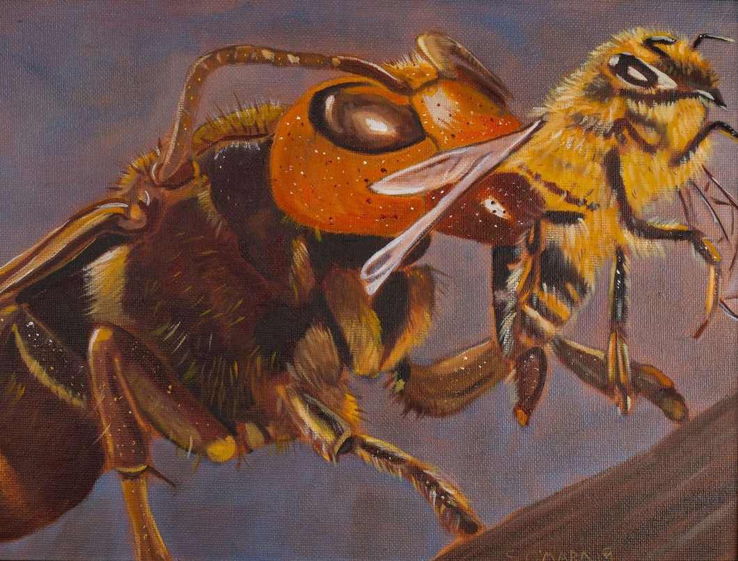 An original oil painting of a Hawking Hornet