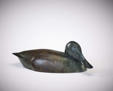 Load image into Gallery viewer, Shoveler Duck by Richard Smith
