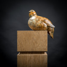 Load image into Gallery viewer, Perching Partridge
