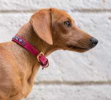 Load image into Gallery viewer, Pink Diamond Dog Collar
