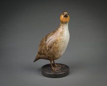 Load image into Gallery viewer, Standing Partridge
