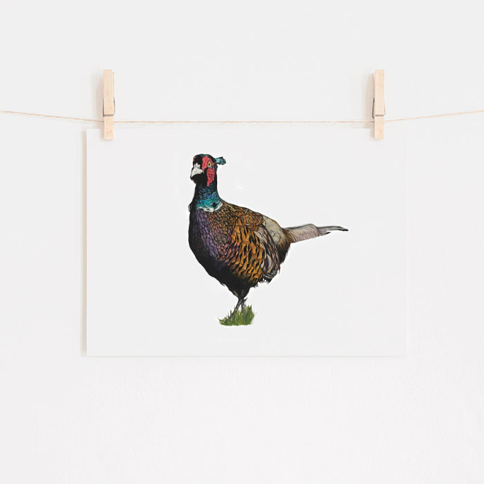 Pheasant Limited Edition GIclee print