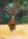 Stag stand - an original oil painting on canvas board
