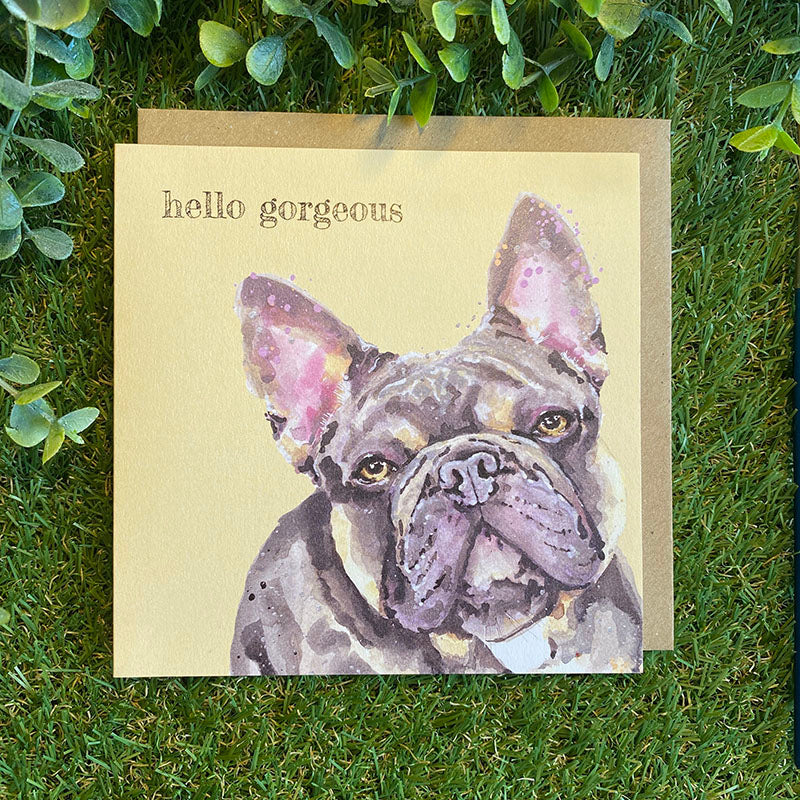 Colour Pop Dogs Greeting Cards