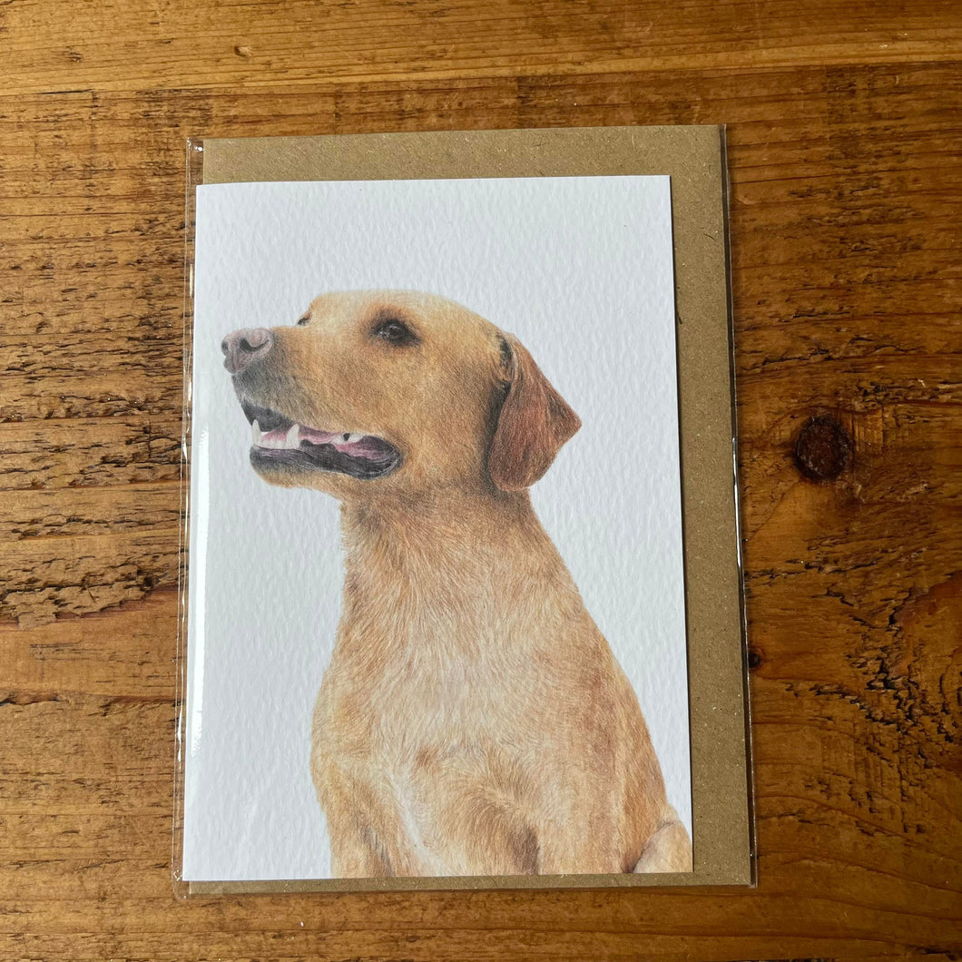 Red Labrador A6 Greeting Card