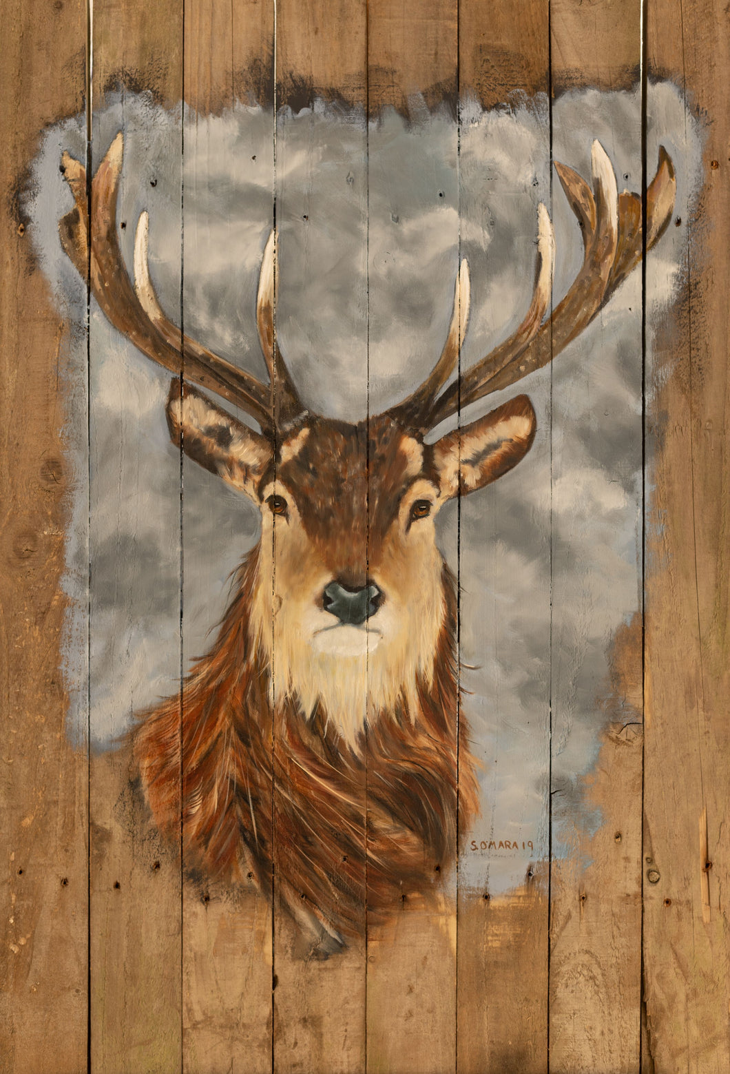 Stag Head on old Wooden Boards an original oil painting