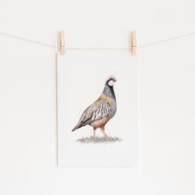 Load image into Gallery viewer, Partridge Art Print - Limited Edition Giclee - The Pondering Partridge
