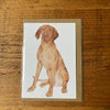 Hungarian Wirehaired Vizsla A6 Greeting Card