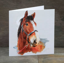 Load image into Gallery viewer, Exclusive Greeting Cards  Pack of 5
