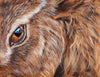 The Hare Sees You an original oil painting SOLD