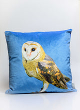 Load image into Gallery viewer, Owl Velvet Cushion
