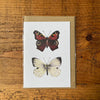 British Butterflies A6 Greeting Card