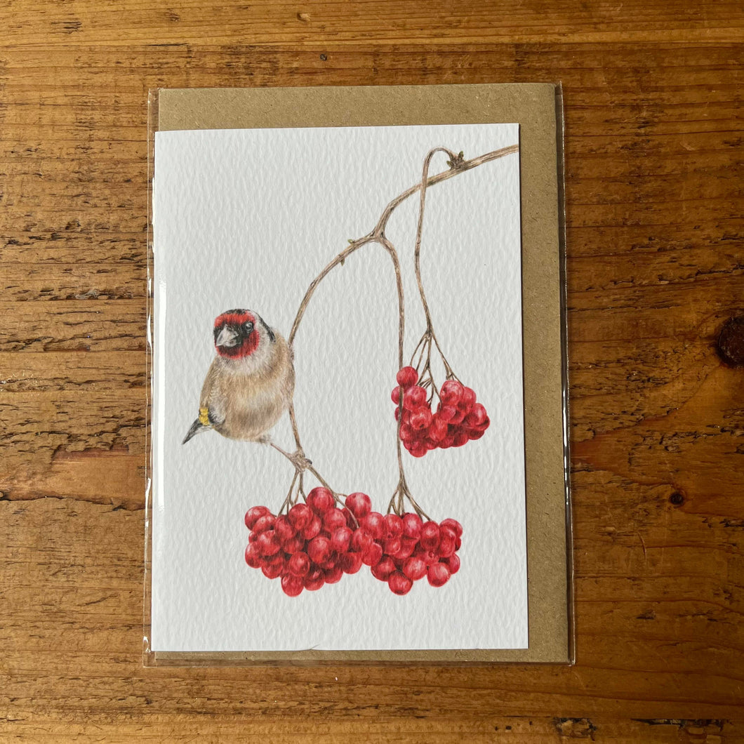 Goldfinch & Rowan Berries A6 Greeting Card