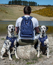 Load image into Gallery viewer, NEW &#39;DumpStore&#39; Backpack for Dog Walkers
