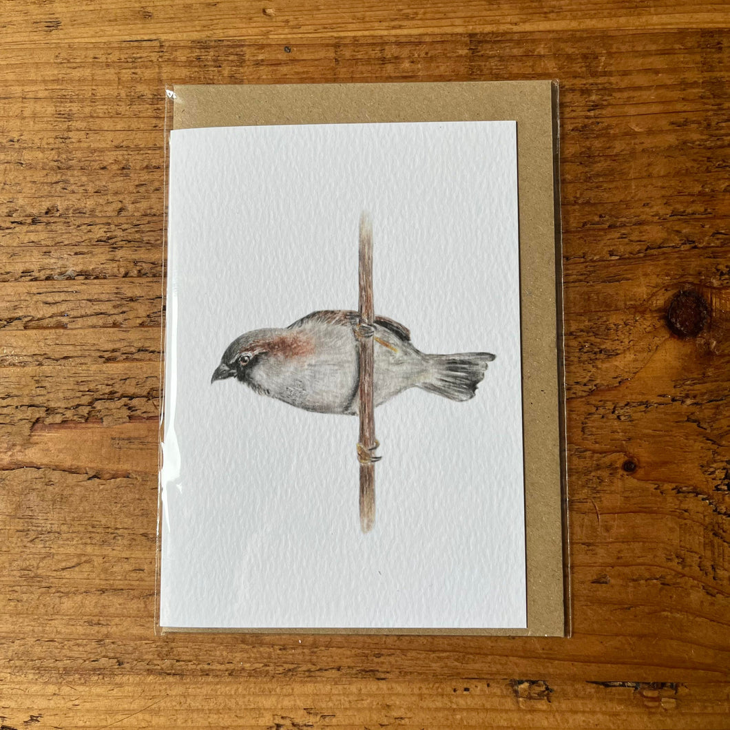 Sparrow A6 Greeting Card