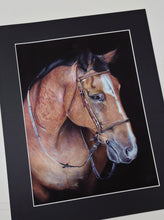 Load image into Gallery viewer, Horse Art Print &#39;Rocky&#39; Limited Edition

