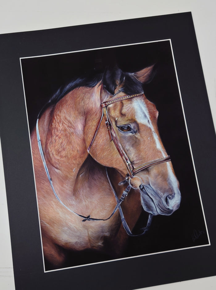 Horse Art Print 'Rocky' Limited Edition