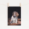 Spaniel Art Print 'Star' - Limited Edition Giclee